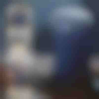 Moedor elétrico | GRIDZ