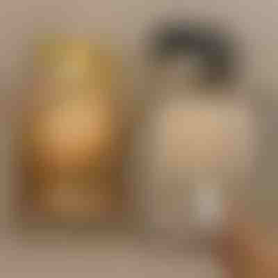 Projetores magnéticos | ARTIONIC